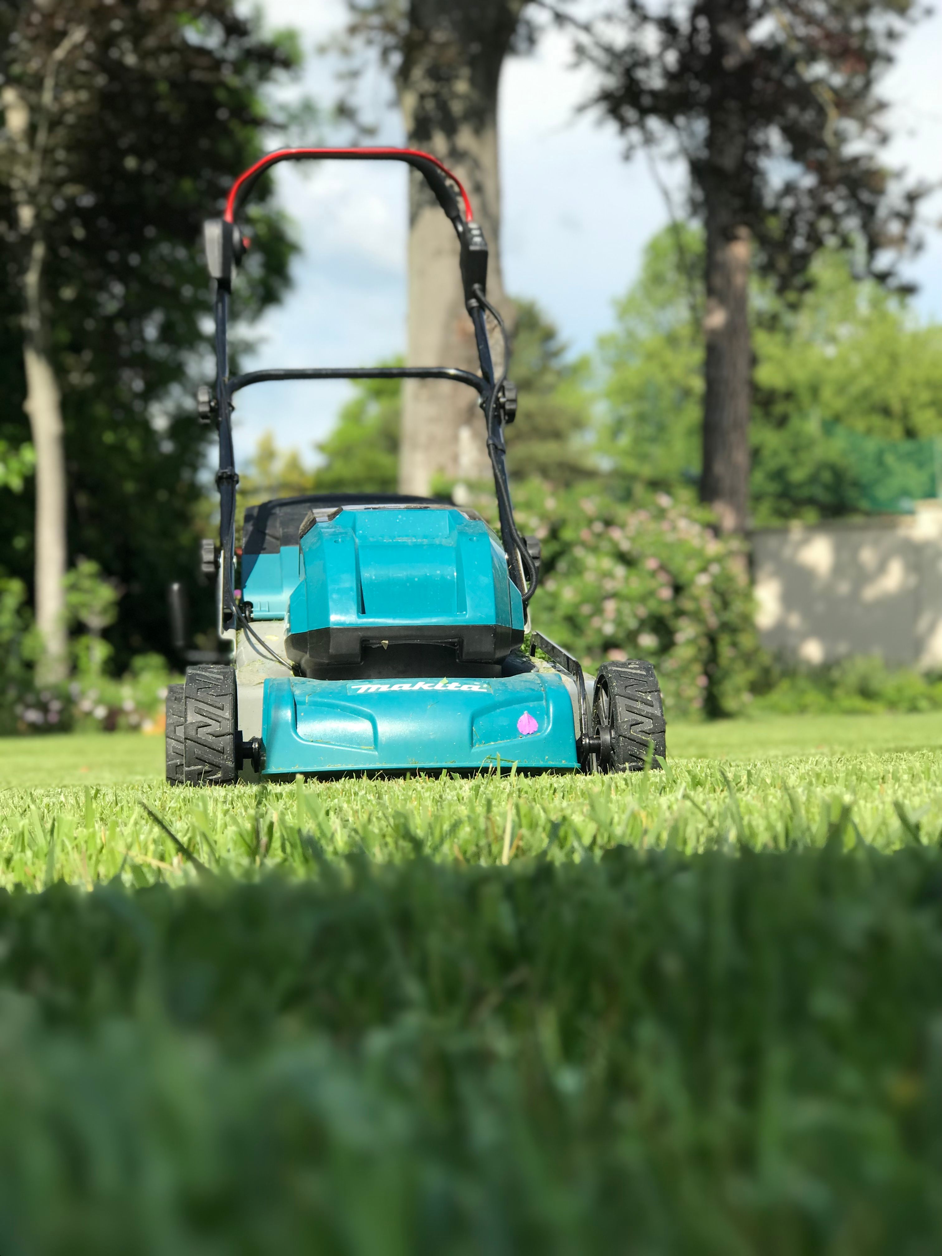 Yard & Lawn Services in Iowa